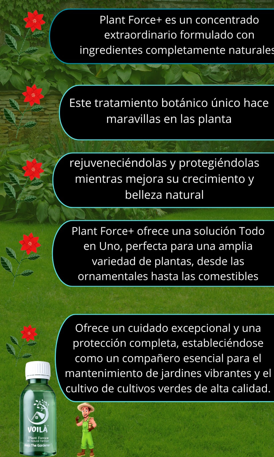 Fertilizante Plant Force+