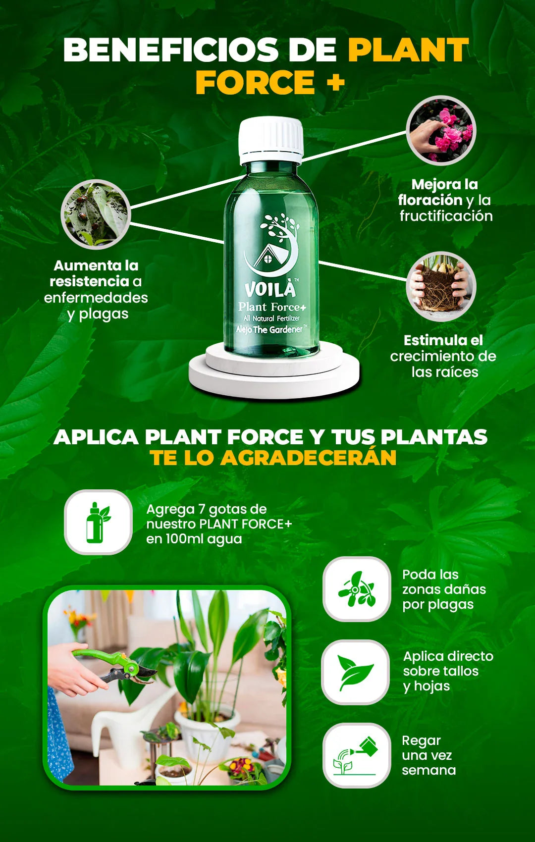 Fertilizante Plant Force+