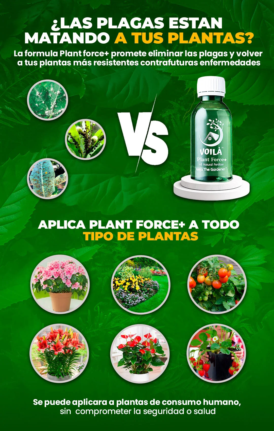 Fertilizante Plant Force+